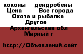 коконы    дендробены › Цена ­ 25 - Все города Охота и рыбалка » Другое   . Архангельская обл.,Мирный г.